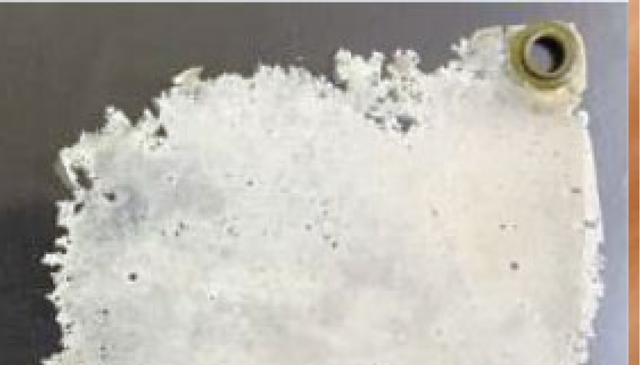 生分解性能を持った製品を開発し プラスチックゴミ問題に対応